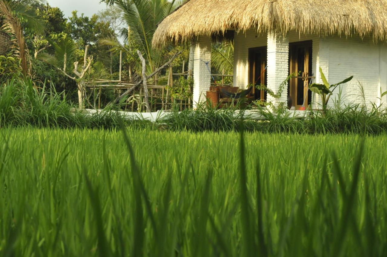 Mu Homestay Tetebatu Eksteriør bilde