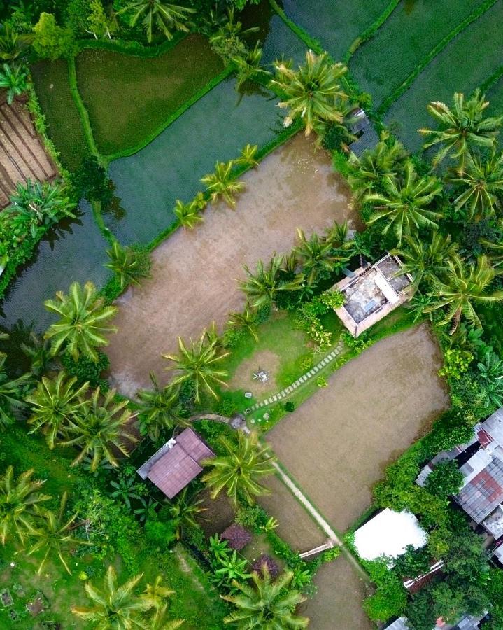 Mu Homestay Tetebatu Eksteriør bilde